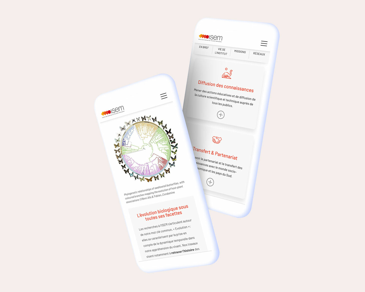 Refonte site web de l'ISEM