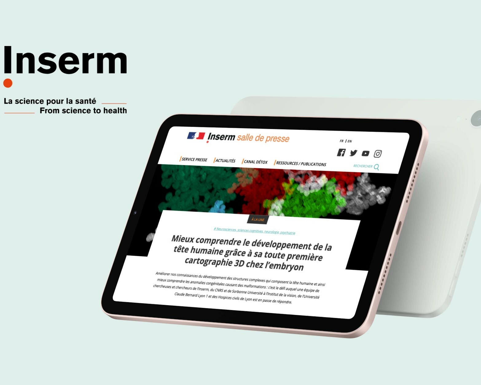 Conception salle de presse Inserm