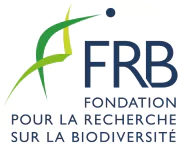 Logo FRB
