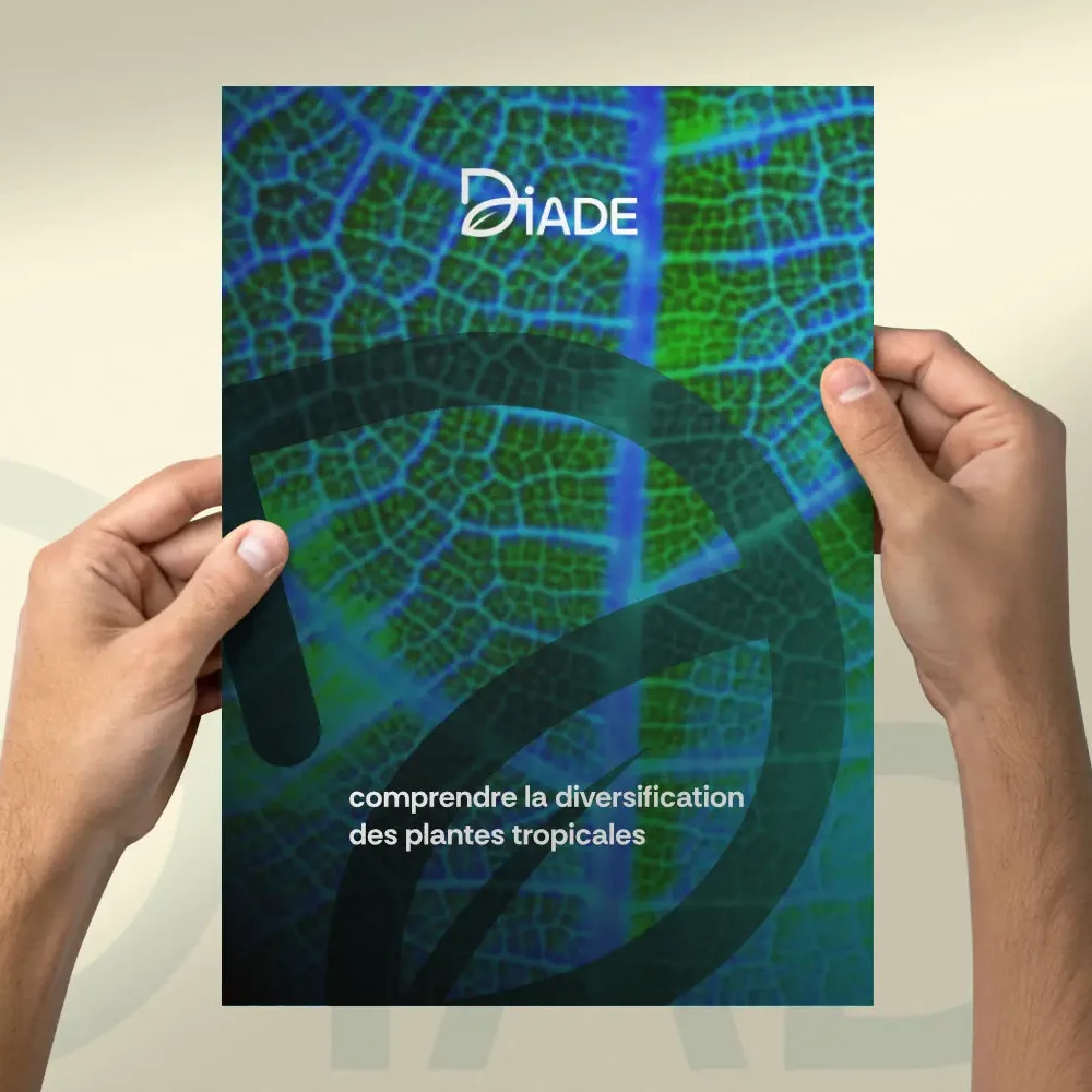 Déclinaison branding DIADE