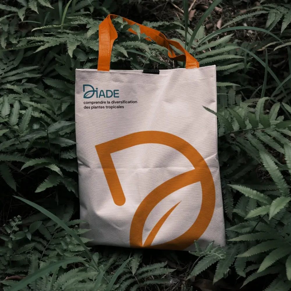 Déclinaison branding DIADE