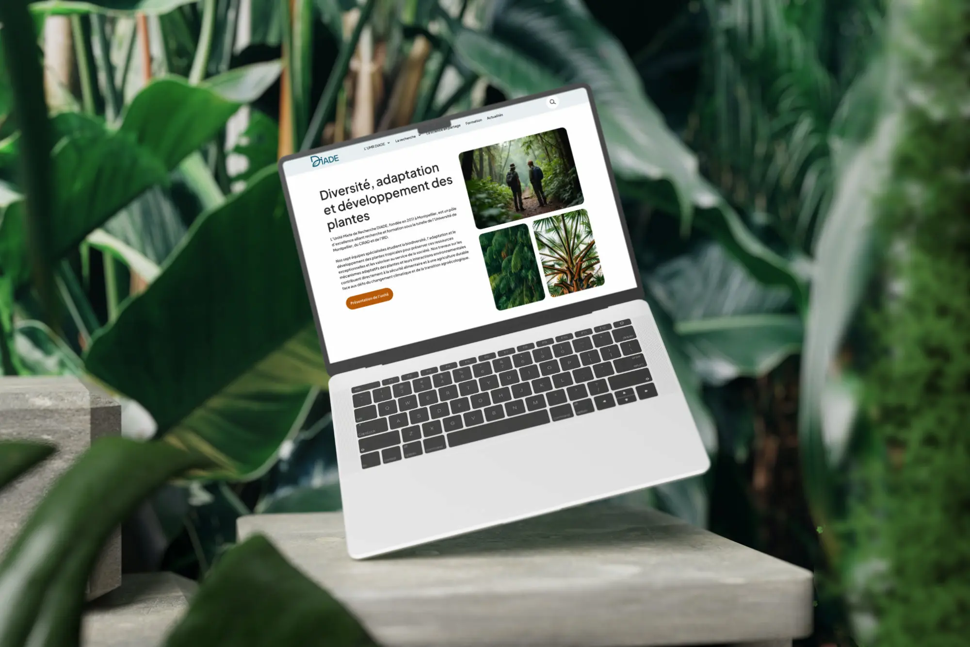 Site centre de recherche Ecran laptop-1