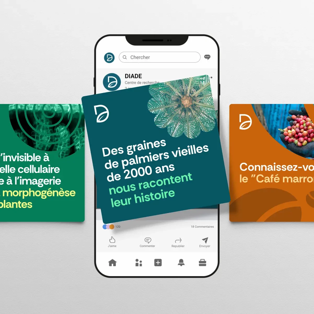 Déclinaison branding DIADE