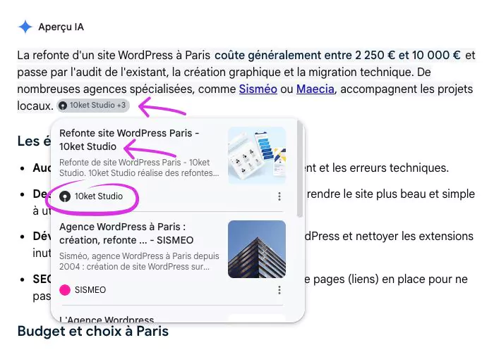 AI Overviews - Google exemple